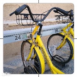 دوچرخه های اجاره ای رایگان در یزد